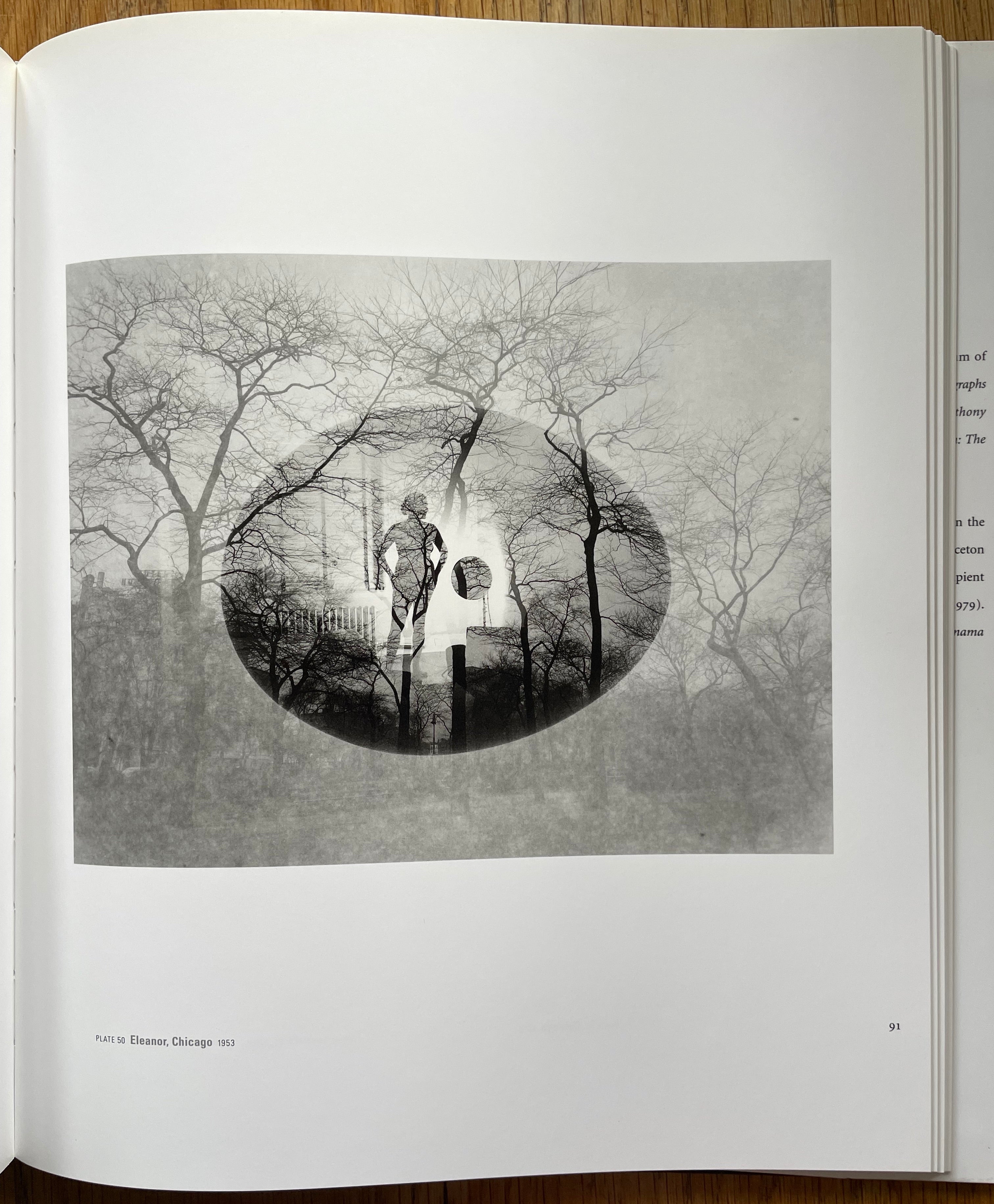 Buy Eleanor photography book by Harry Callahan – Setanta Books