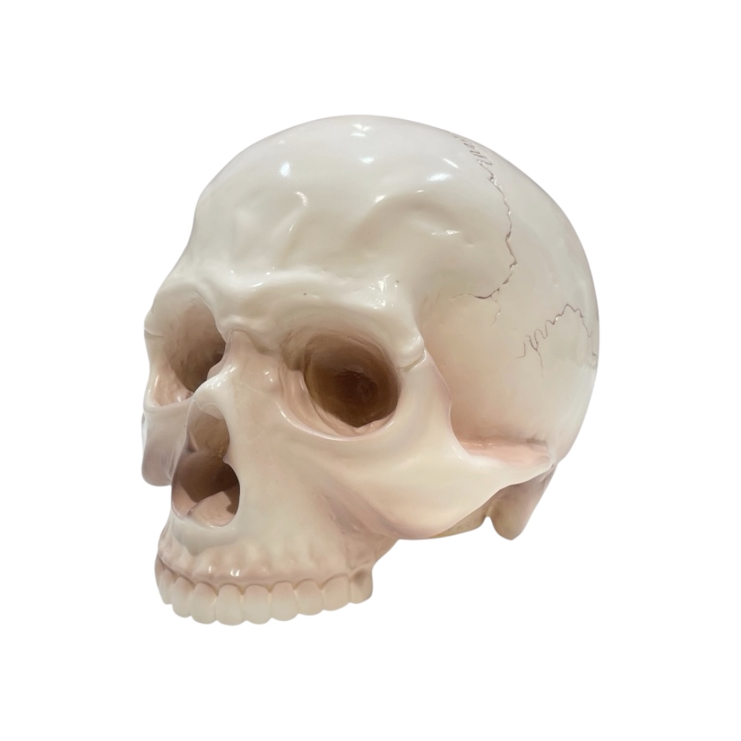 1/1 SKULL HEAD Full color Rusty Brown Ver. - SECRET BASE ONLINE STORE