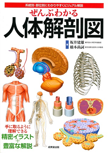 ぜんぶわかる人体解剖図｜成美堂出版