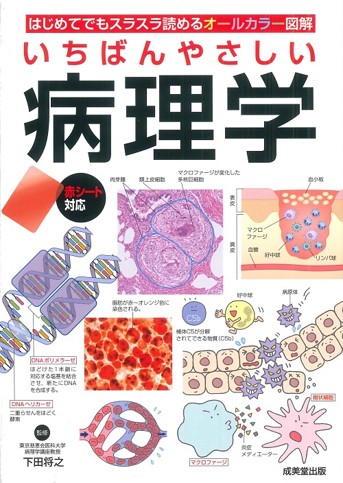 いちばんやさしい 病理学｜成美堂出版