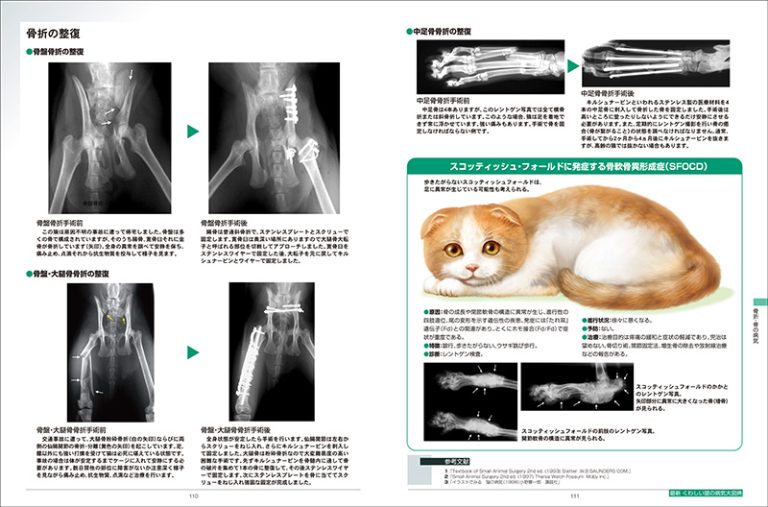 最新 くわしい猫の病気大図典 | 株式会社誠文堂新光社