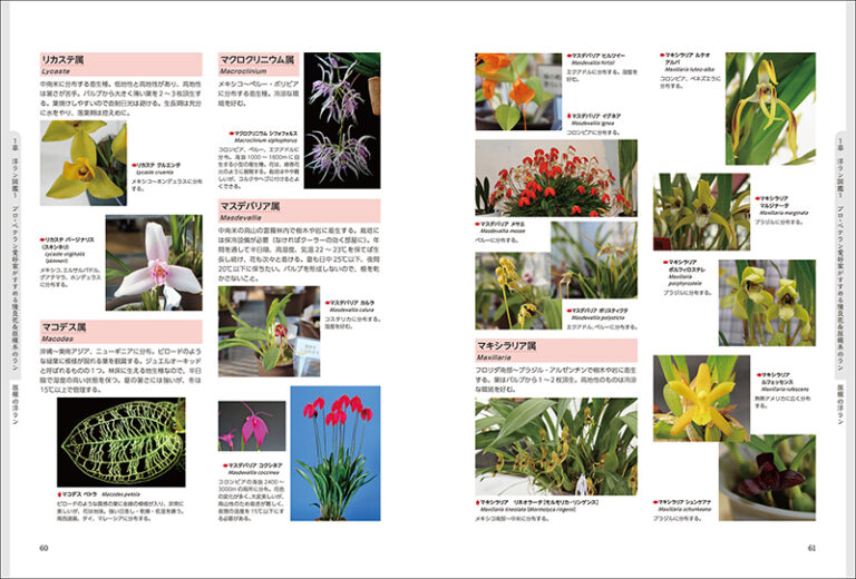 洋ラン大全 | 株式会社誠文堂新光社