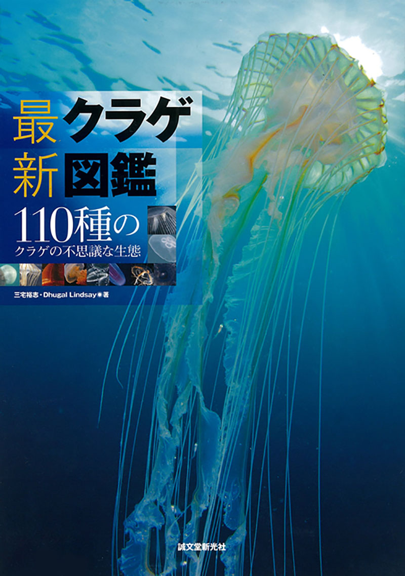 最新 クラゲ図鑑 | 株式会社誠文堂新光社