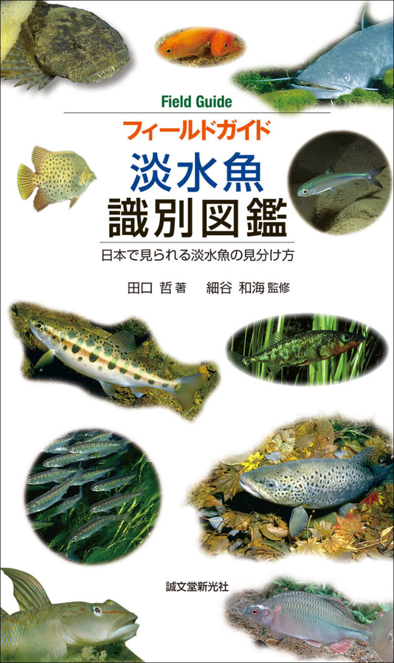 洋書 Dr. Axelrod's Atlas of 淡水観賞魚 大型本 観賞魚大図鑑