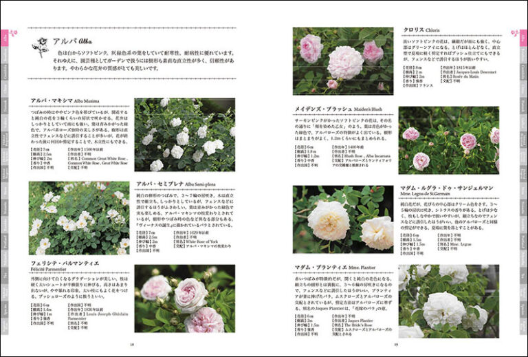 オールドローズ&イングリッシュローズ | 株式会社誠文堂新光社