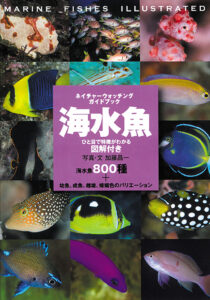 スズメダイ ひと目で特徴がわかる図解付き | 株式会社誠文堂新光社