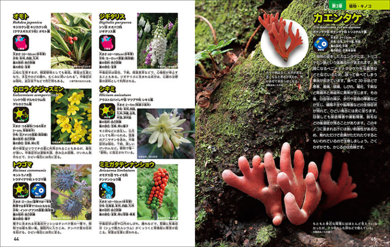 刺す！ 咬む！ 防御する！ 猛毒をもつ危険生物 | 株式会社誠文堂新光社