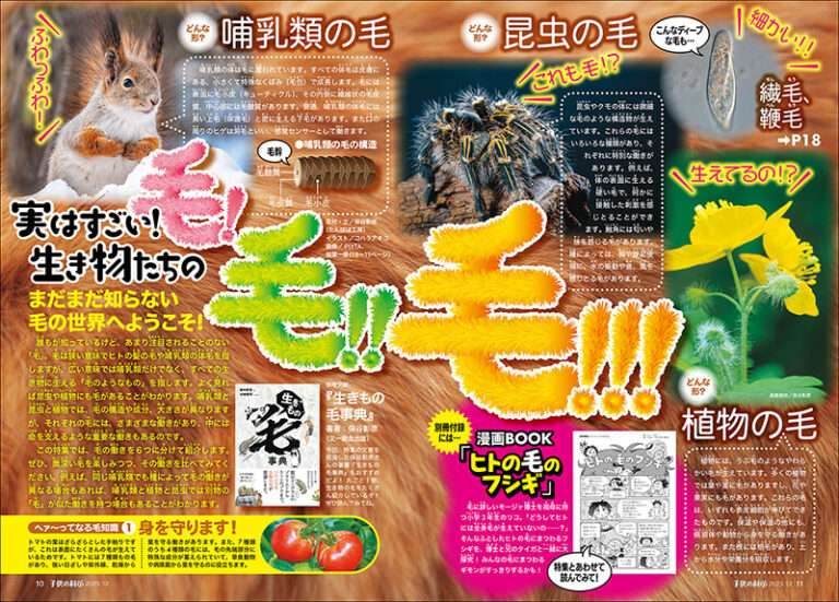 子供の科学 2014年03月-2020年04月号、70冊（3冊抜け、4冊状態悪