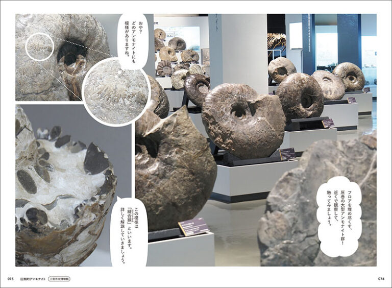 おせっかいな化石案内 | 株式会社誠文堂新光社