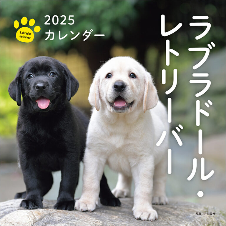 2025年カレンダー ラブラドール・レトリーバー | 株式会社誠文堂新光社