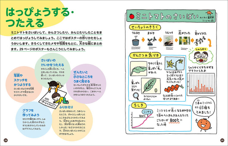 ミニトマト | 株式会社誠文堂新光社