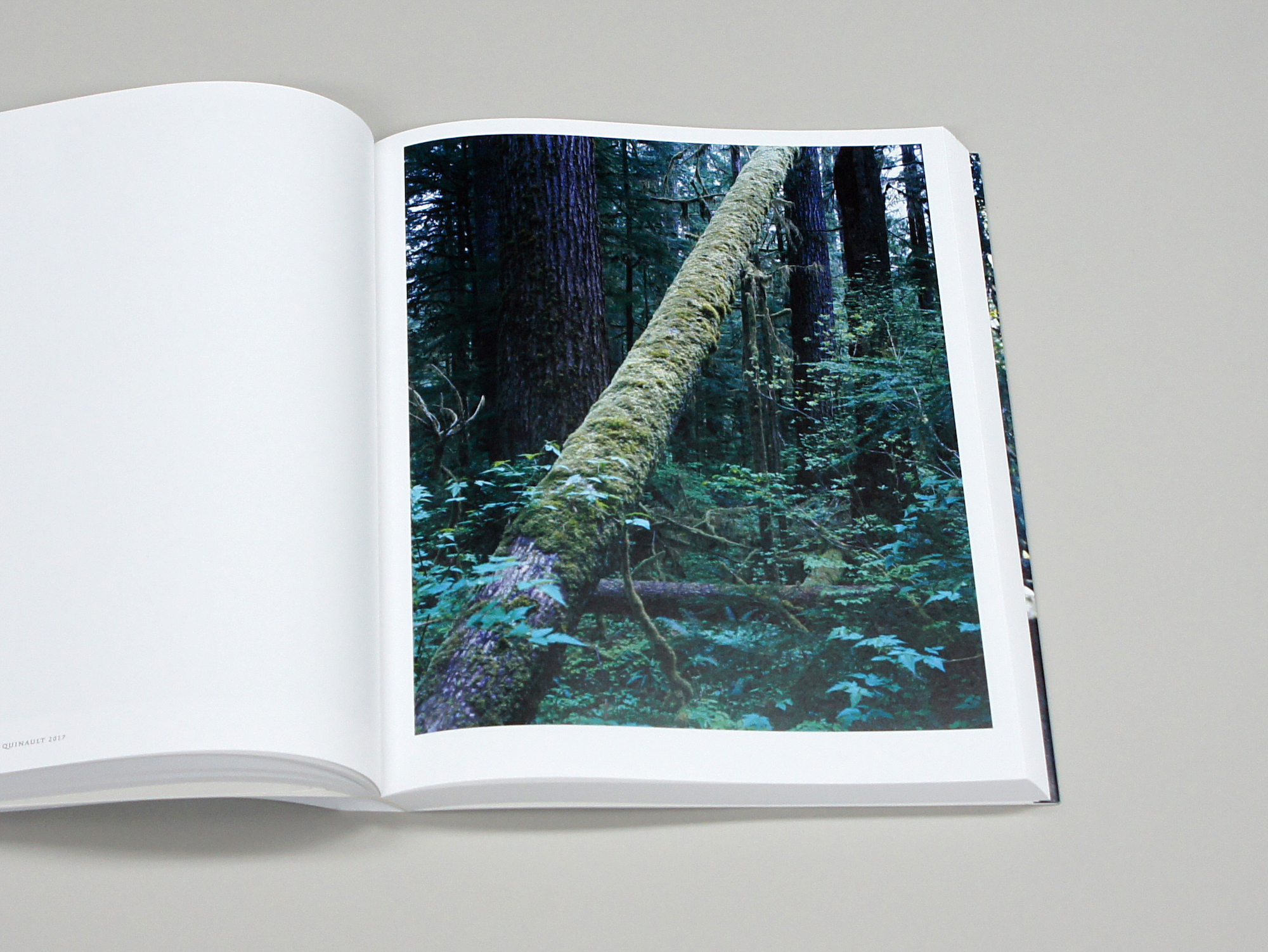 上田義彦写真集 FOREST 印象と記憶 1989-2017｜青幻舎 SEIGENSHA Art