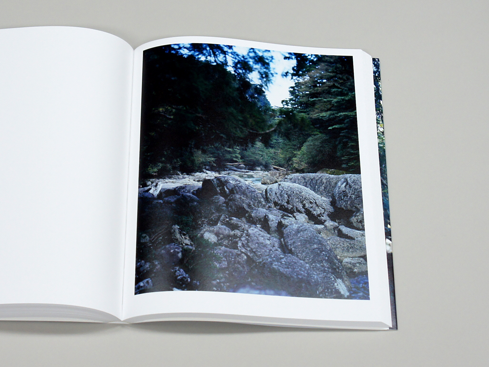 上田義彦写真集 FOREST 印象と記憶 1989-2017｜青幻舎 SEIGENSHA Art