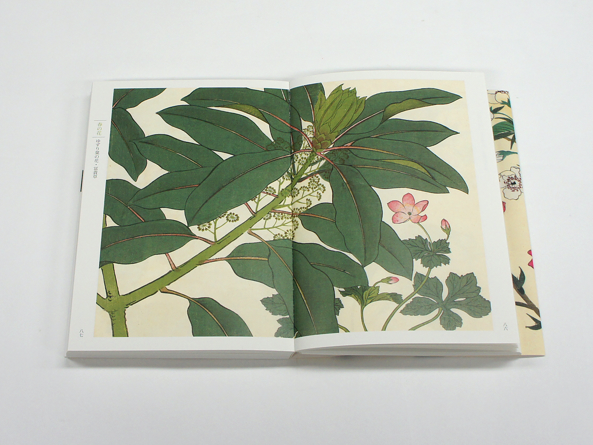 新装版 四季の花（上巻）｜青幻舎 SEIGENSHA Art Publishing, Inc.