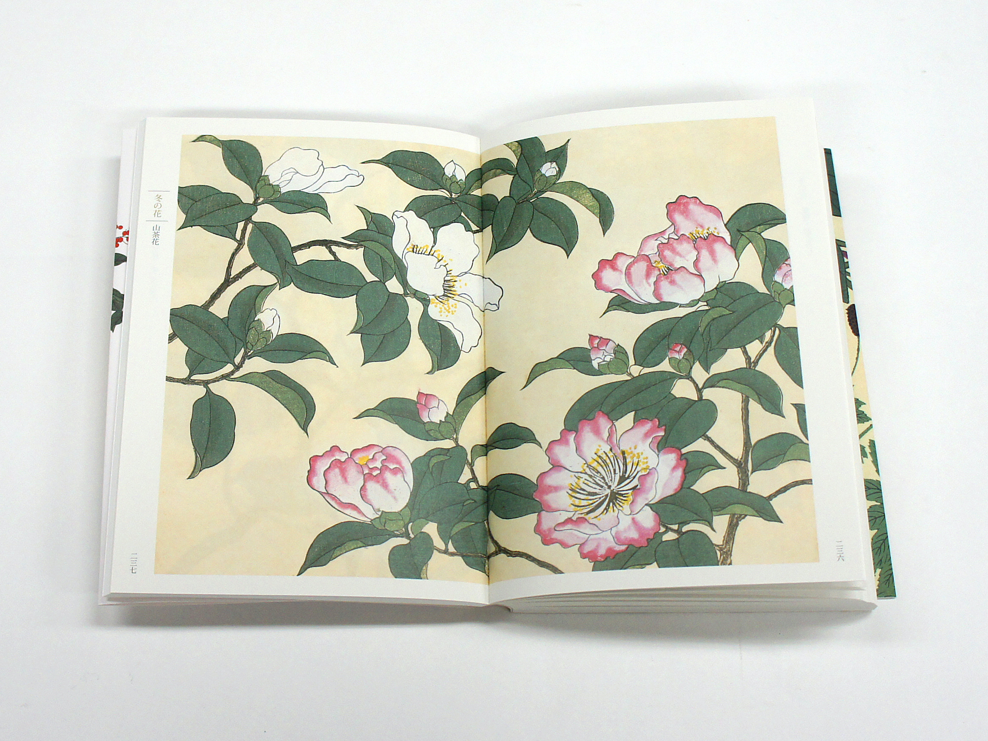 新装版 四季の花（下巻）｜青幻舎 SEIGENSHA Art Publishing, Inc.