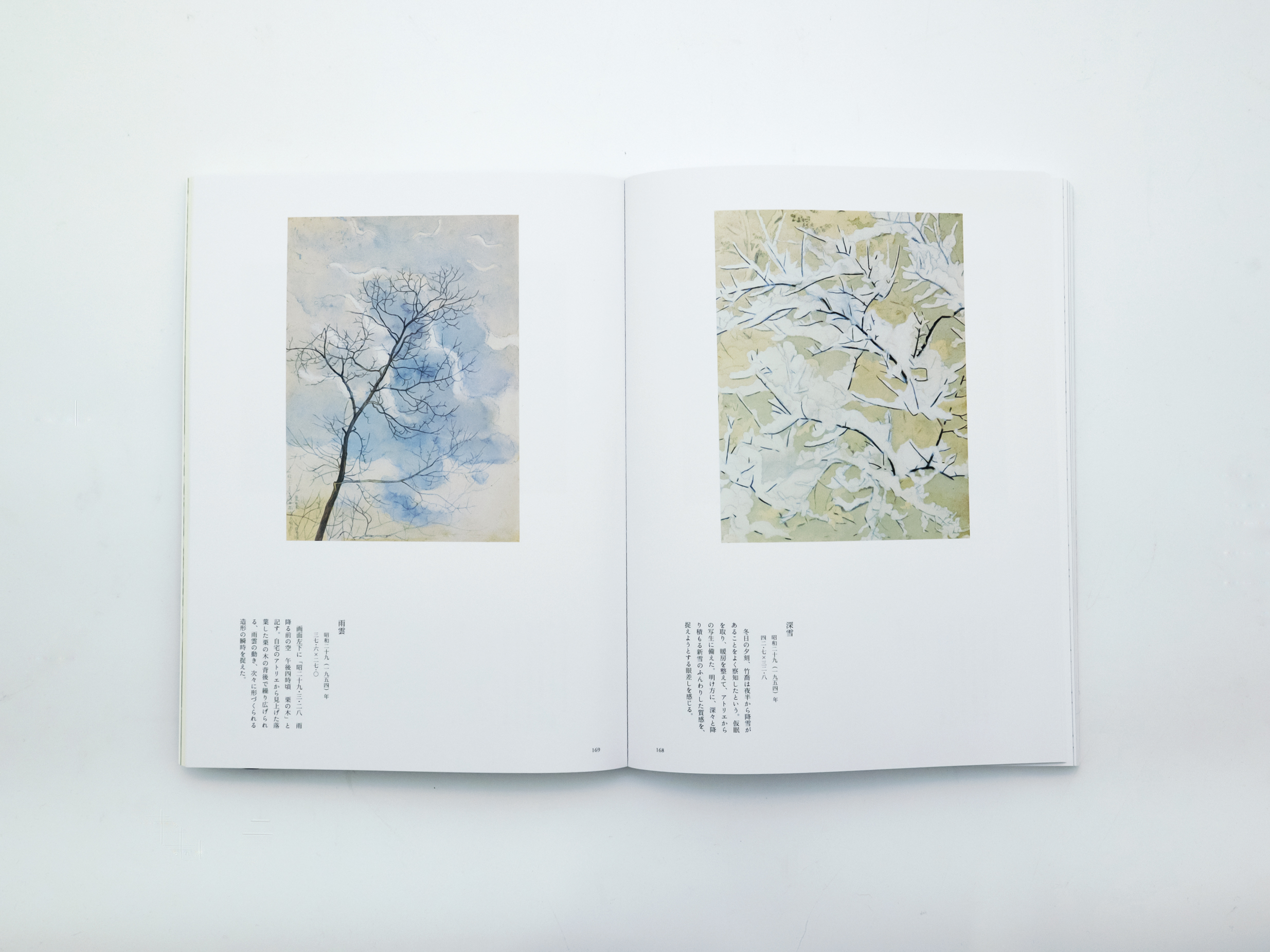 笠岡市立竹喬美術館名品集 うつりゆく自然を描く 小野竹喬の世界｜青幻