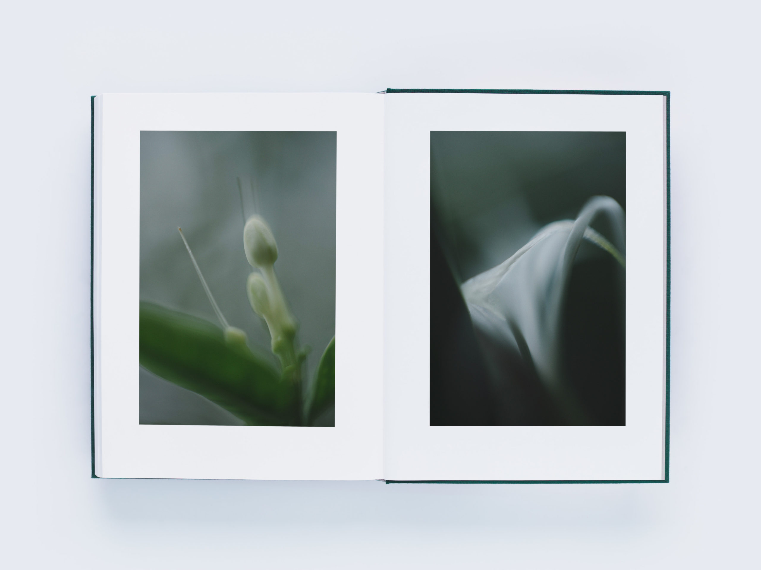 LUMIÈRE ルミエール｜青幻舎 SEIGENSHA Art Publishing, Inc.