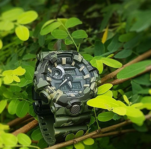 風景に溶け込む - 精光堂 -SEIKODO- 輸入時計正規販売・高品質