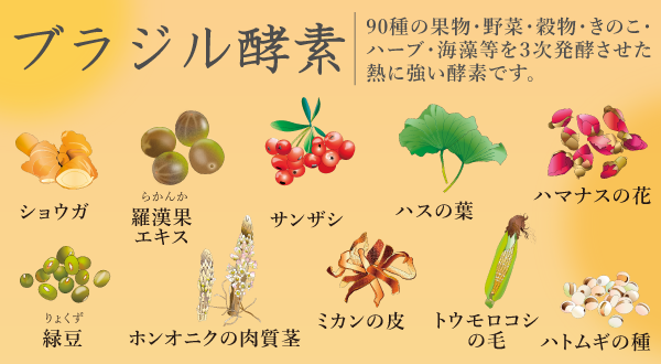 ハーブ専科フローラ酵素 60包/箱