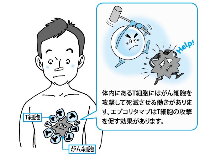 8月 がんに克つ！30 悪性リンパ腫に対する 化学療法の進歩／血液内科