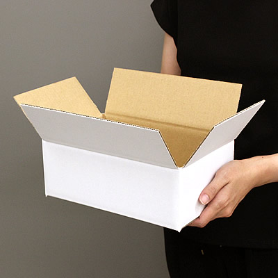 ケースA式 白60サイズ 250×160×95: 梱包資材｜包装資材・梱包資材の