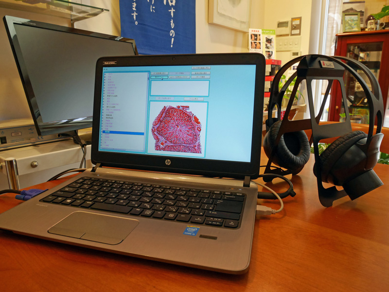 ニュースレター