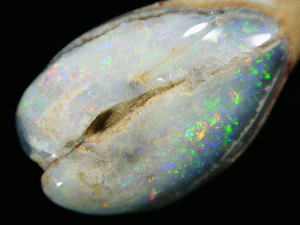 クーパーペディ産オパール化貝化石A - セルフクリエイション