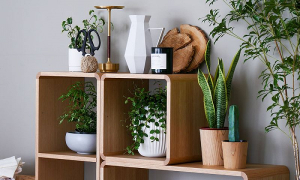 収納ボックスW350日進木工（にっしんもっこう） | 公式通販 家具・雑貨