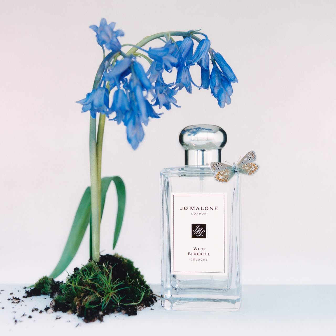 Wild Bluebell Cologne - Jo Malone London | Sephora