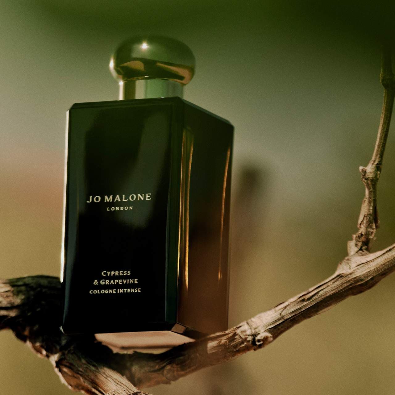 Cypress & Grapevine Cologne Intense - Jo Malone London | Sephora