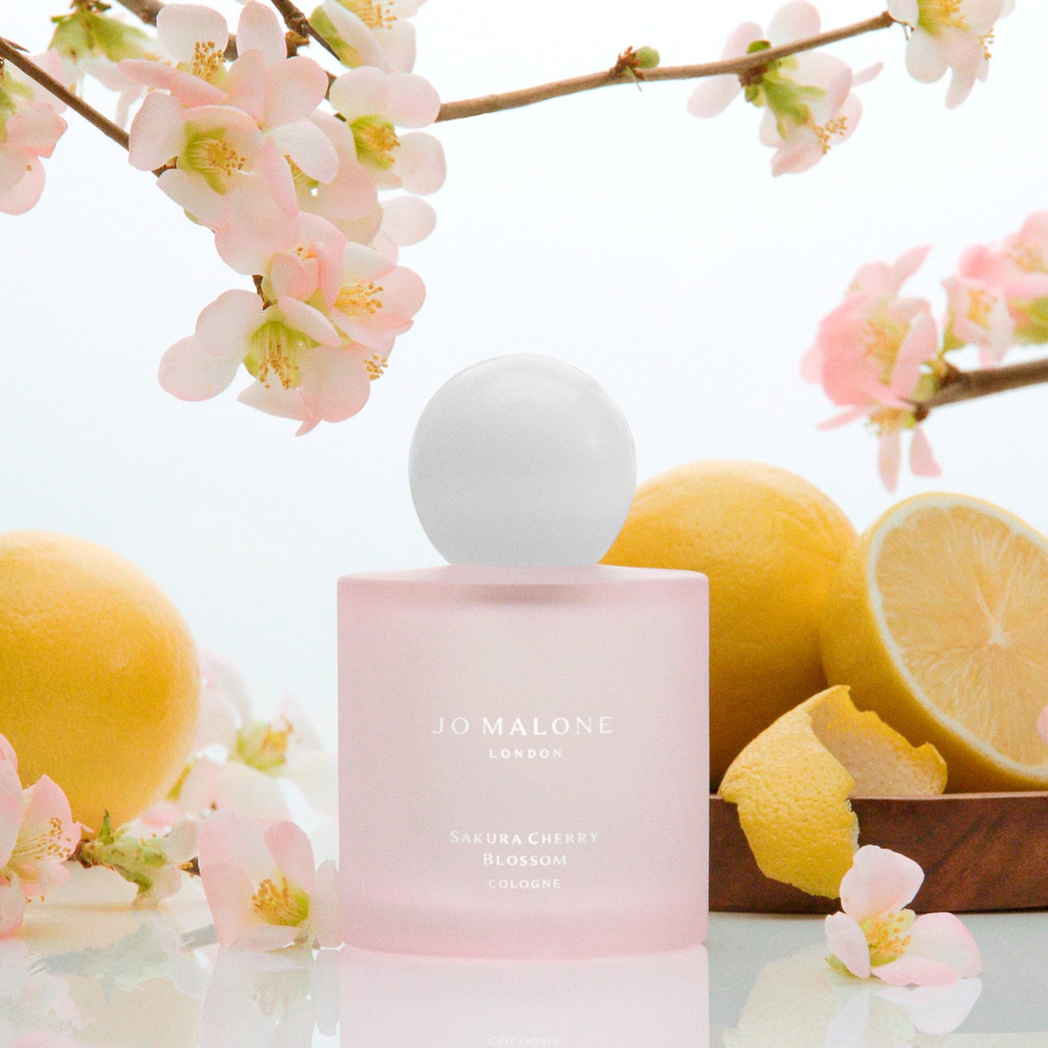 Sakura Cherry Blossom - Jo Malone London | Sephora