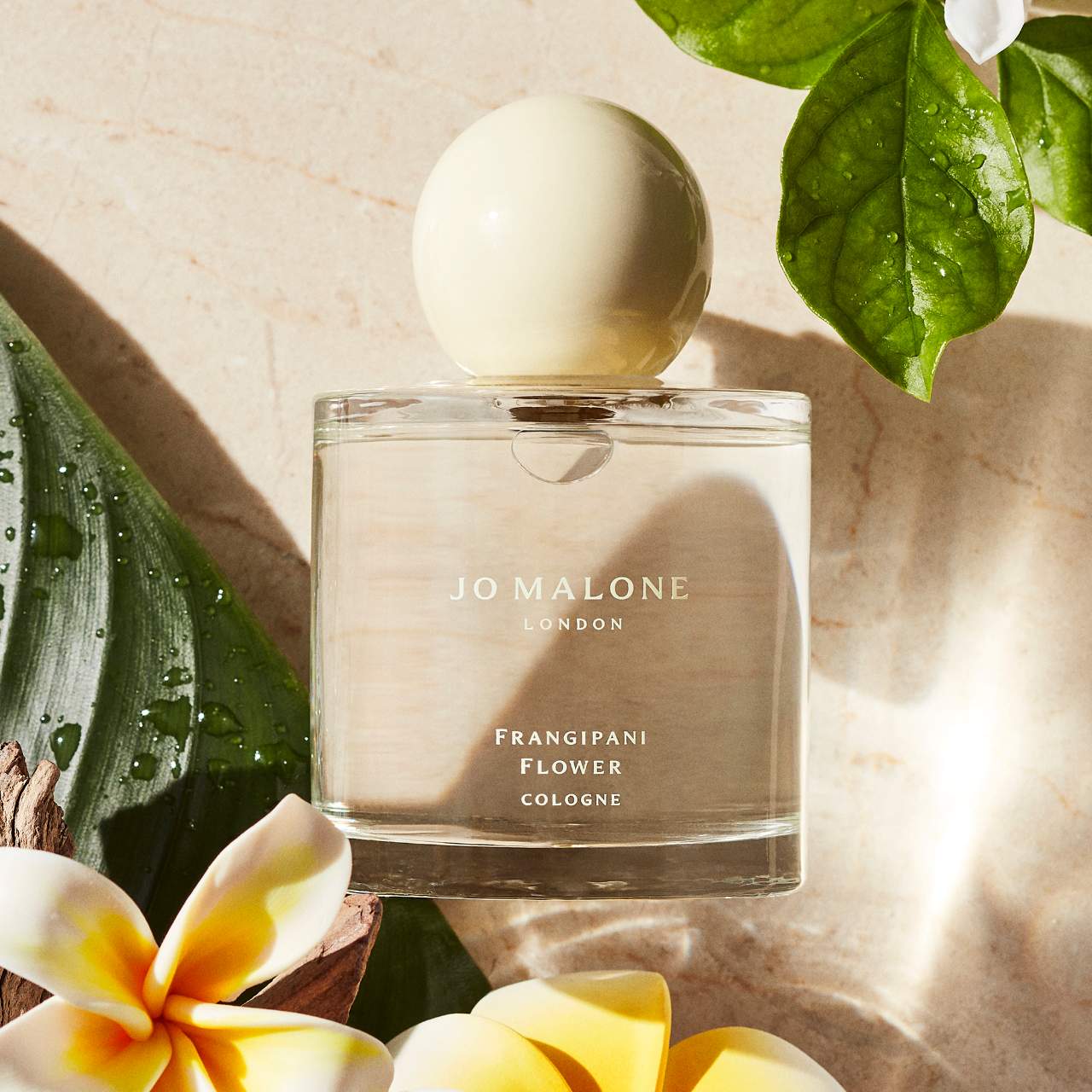 Frangipani Flower Cologne - Jo Malone London | Sephora