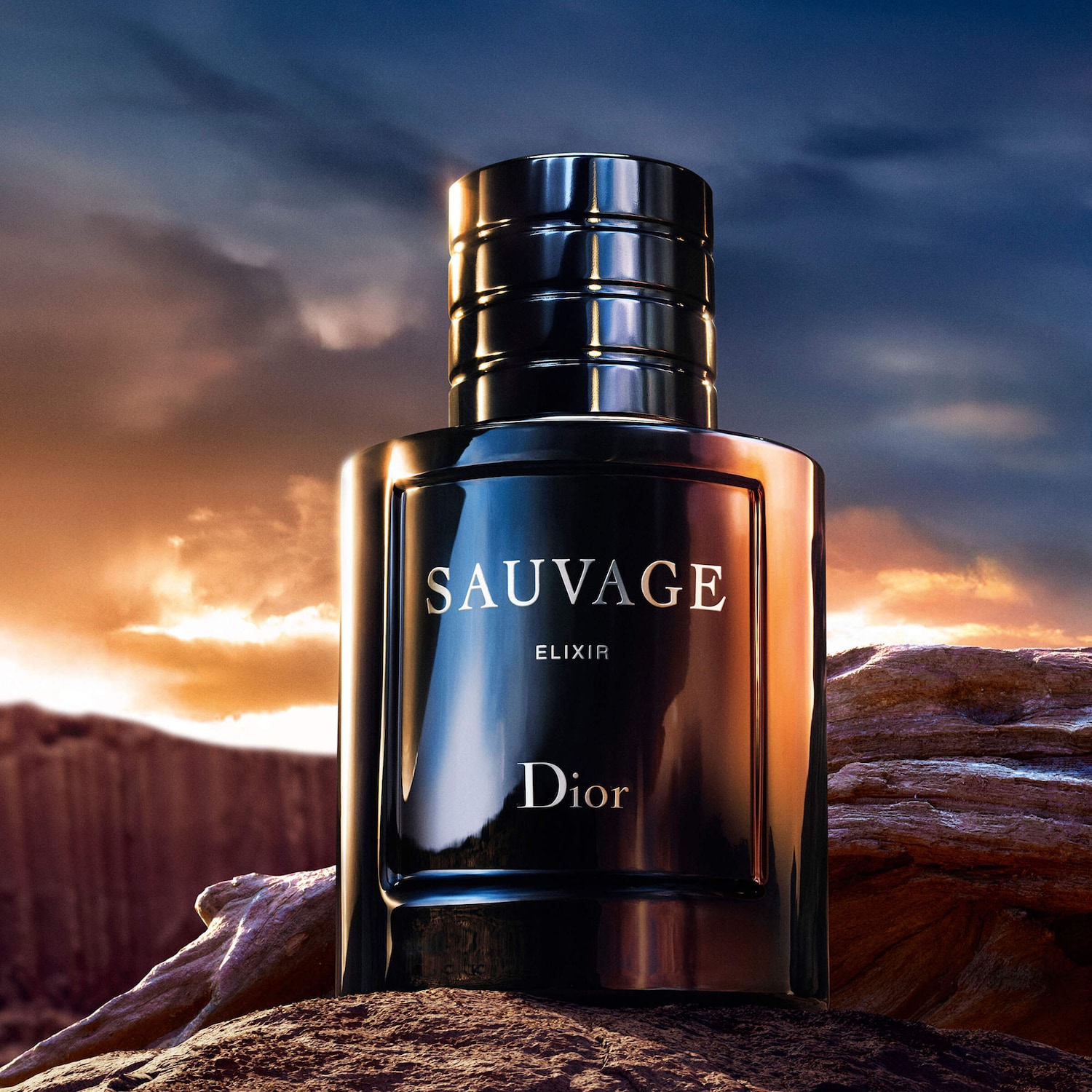 Sauvage Elixir - Dior | Sephora