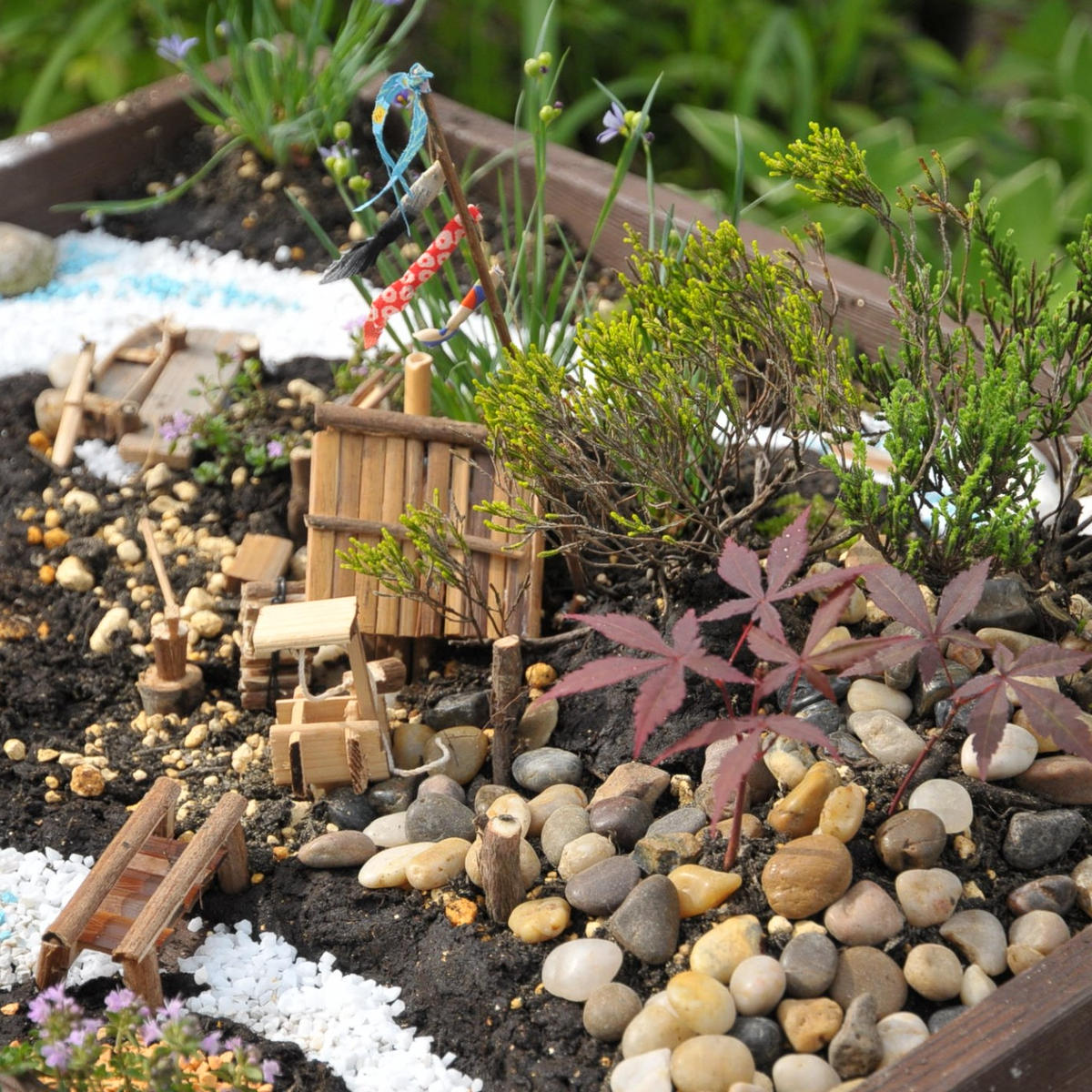 箱庭」のアルバム-みんなの趣味の園芸267080