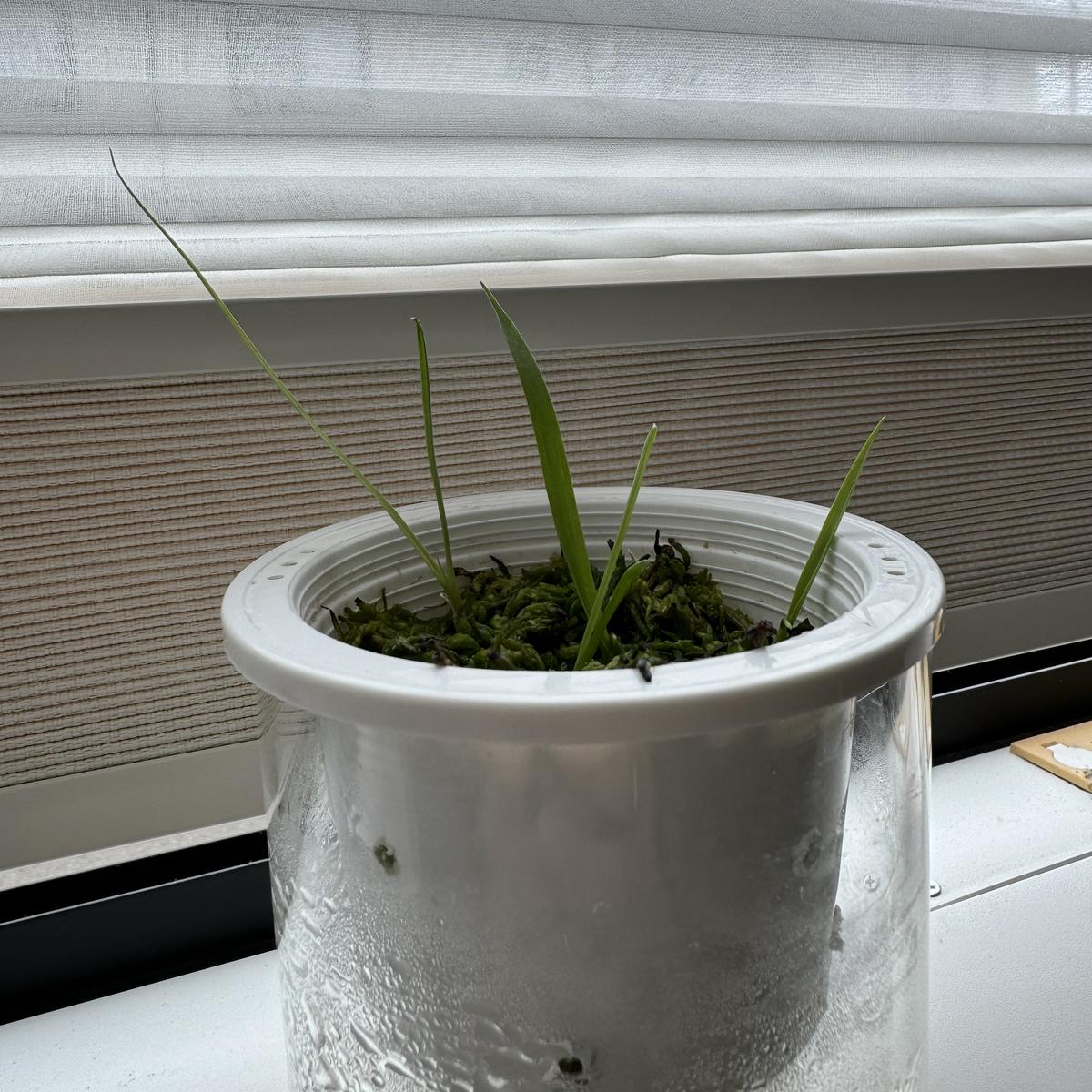 img_cache_r_33159_c_1728166913