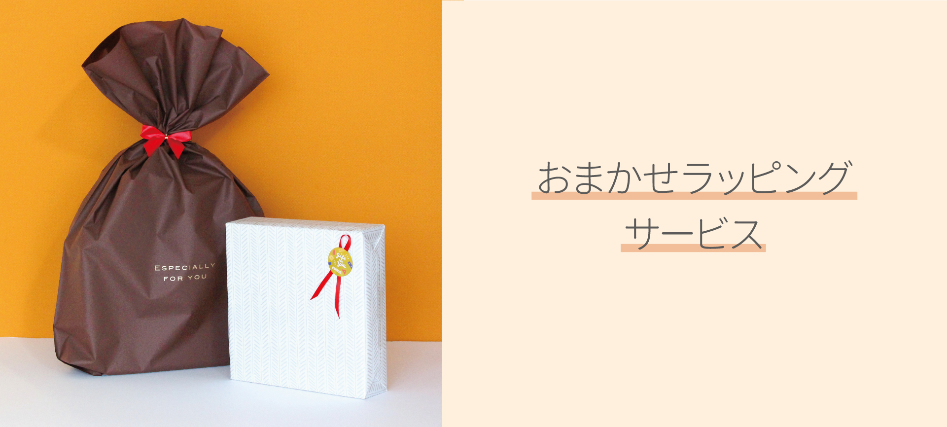 株式会社シャオール