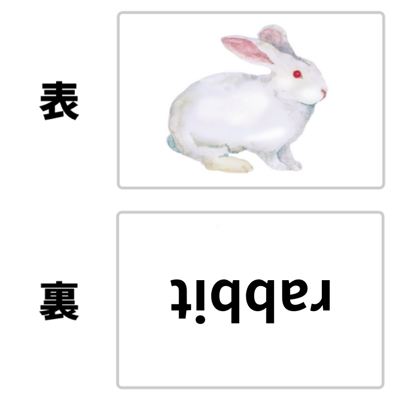 かな絵ちゃんカードA(英語版)【フラッシュカード】 | 七田式公式通販