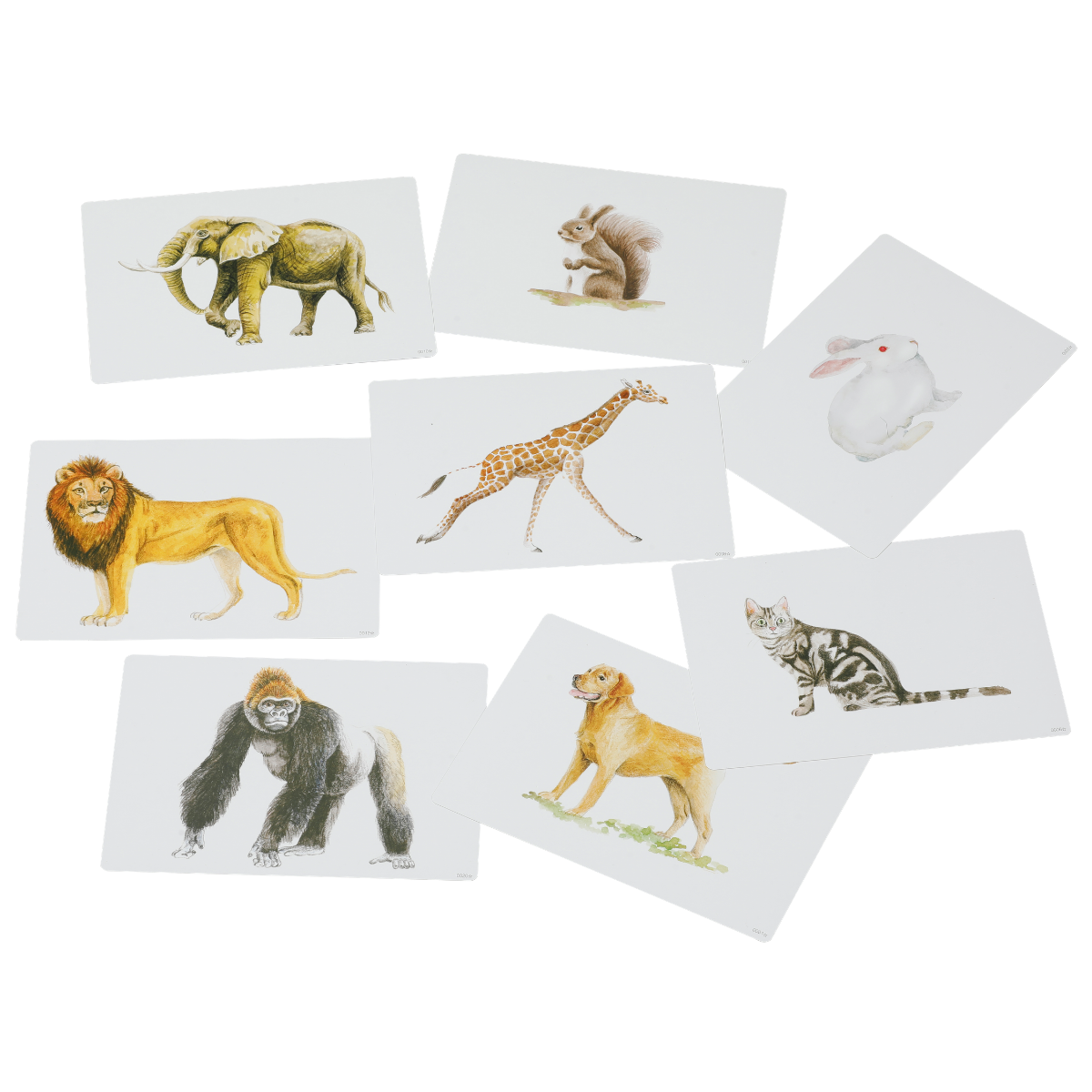 かな絵ちゃんカードA(日本語版)【フラッシュカード】 | 七田式公式通販