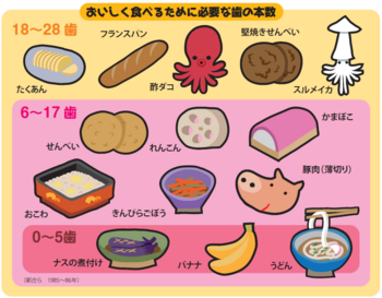 おいしく食べるために | 医療法人社団仁岳会 西東京歯科医院