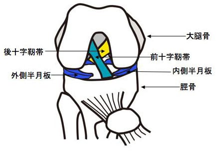 関節鏡視下手術｜医療法人ここの実会 嶋崎病院