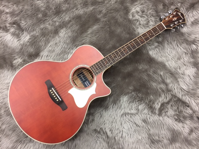 エレアコ】Ibanez/AE205A入荷いたしました！｜島村楽器 イオンモール綾川店