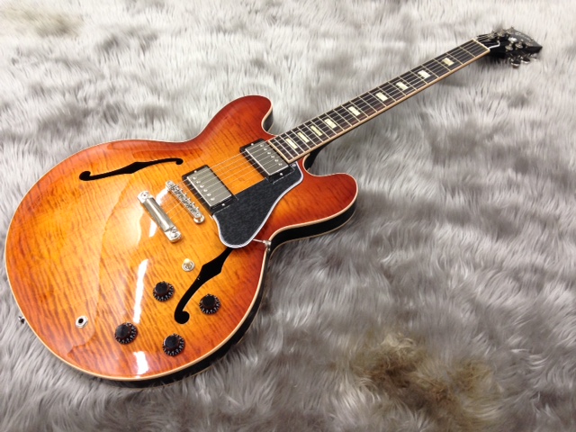 ギター】セミアコ、フルアコ激レア品が続々入荷！｜島村楽器 イオン