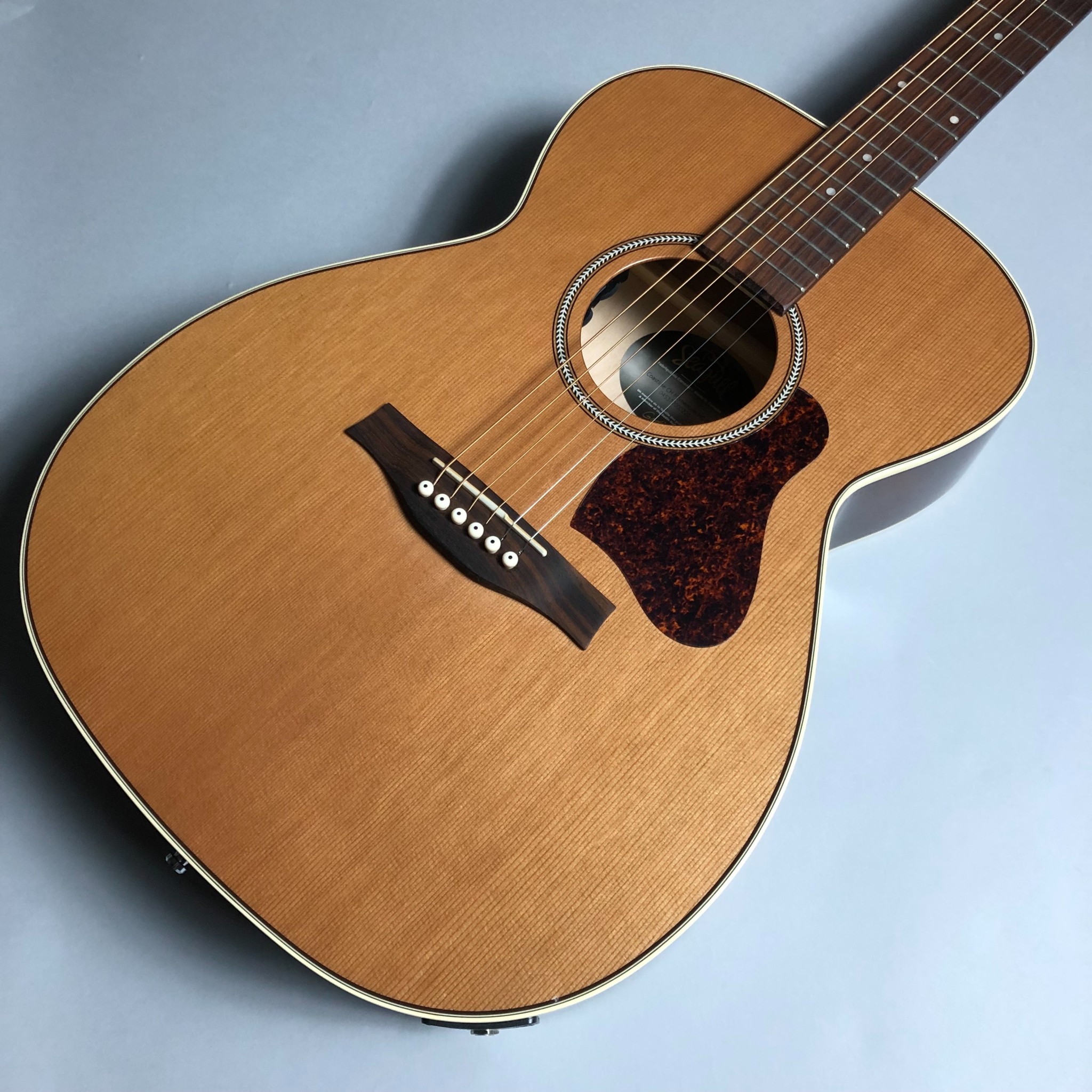 シーガル クリアランスセール中！｜島村楽器 市川コルトンプラザ店