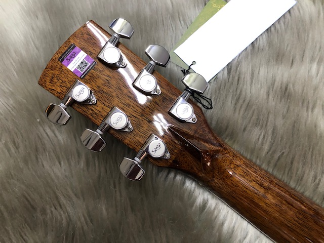 オール単板のアコースティックギター！ SAGA A1-G入荷情報！｜島村楽器