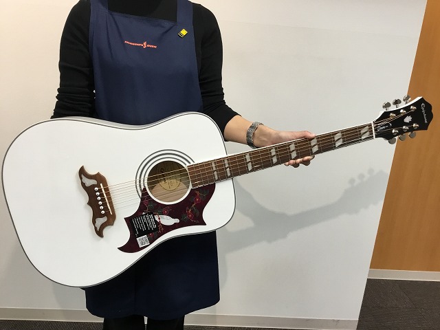 新着入荷情報】Epiphone DOVE PRO AW入荷しました!｜島村楽器 フィール