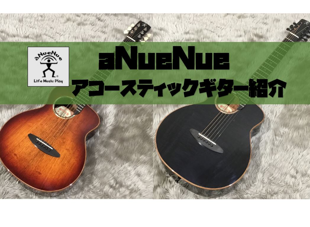 アコースティックギター】aNueNue（アヌエヌエ）ギター入荷！試奏動画