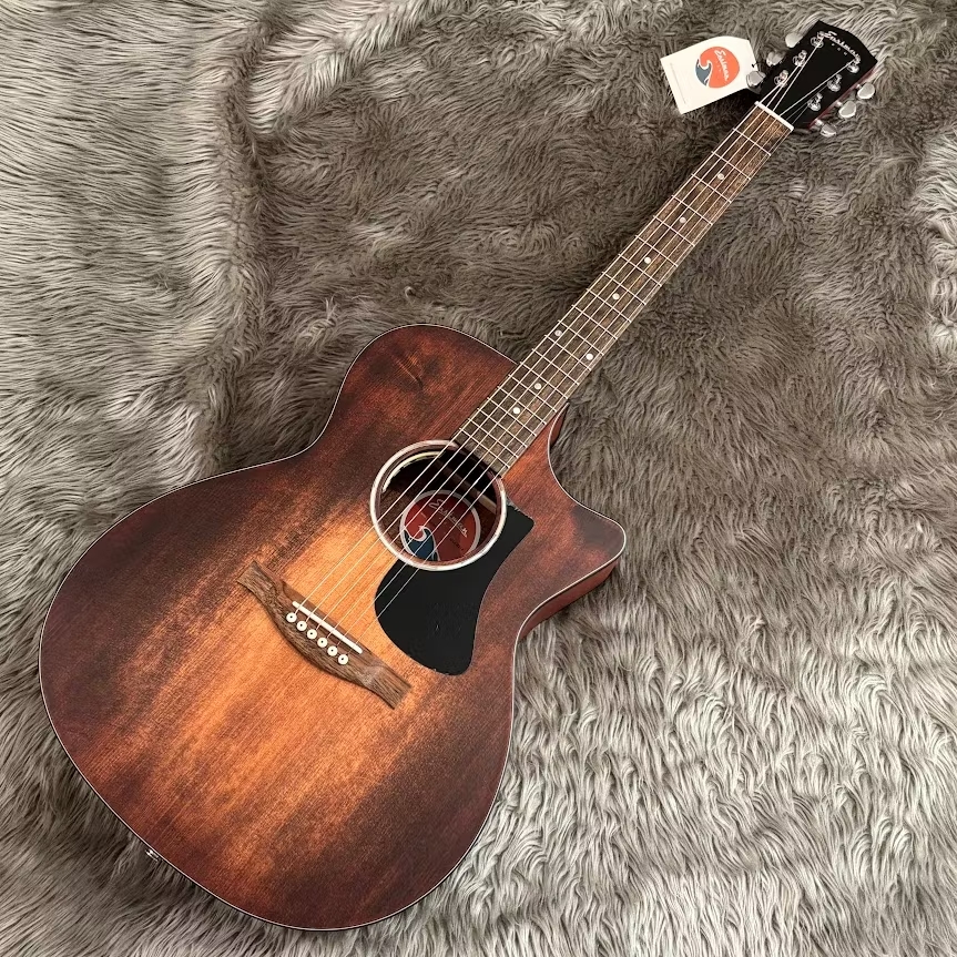 Eastman】お勧めギターをご紹介【アコースティックギター】｜島村楽器