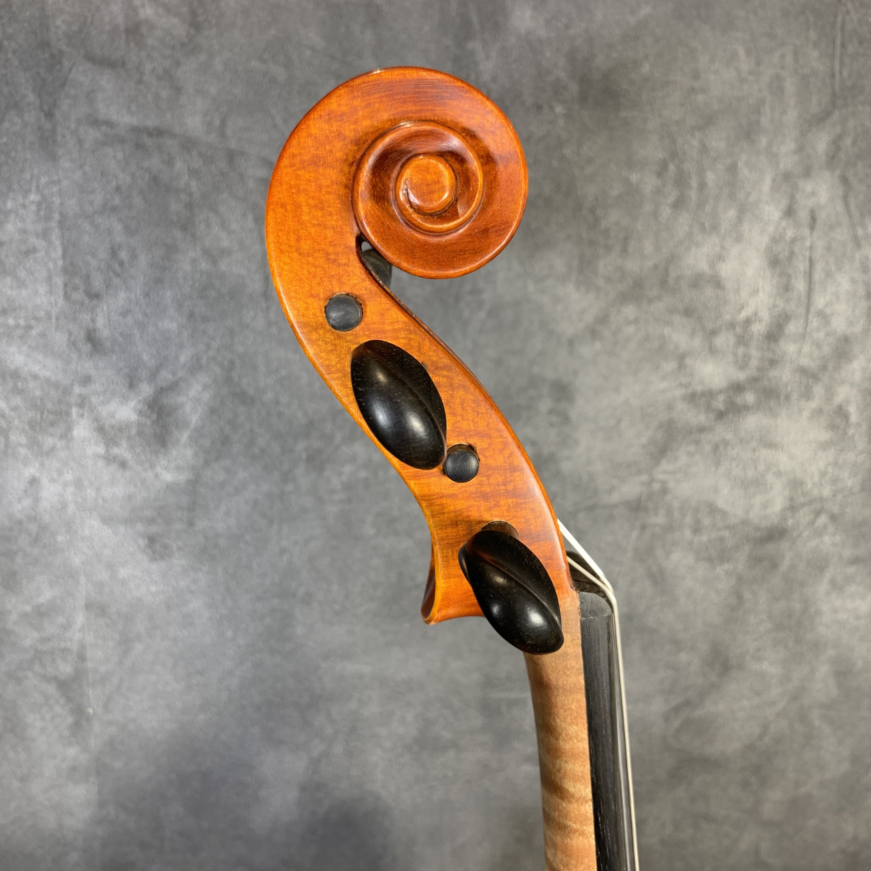 中古分数ヴァイオリン紹介】GLIGA(グリガ) 3/4サイズ｜島村楽器 岩田屋