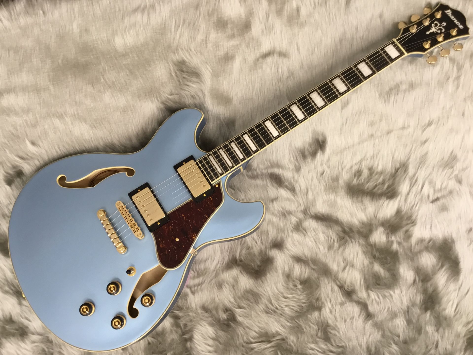 エレキギター】セミアコタイプラインナップ【セレオ国分寺店】｜島村