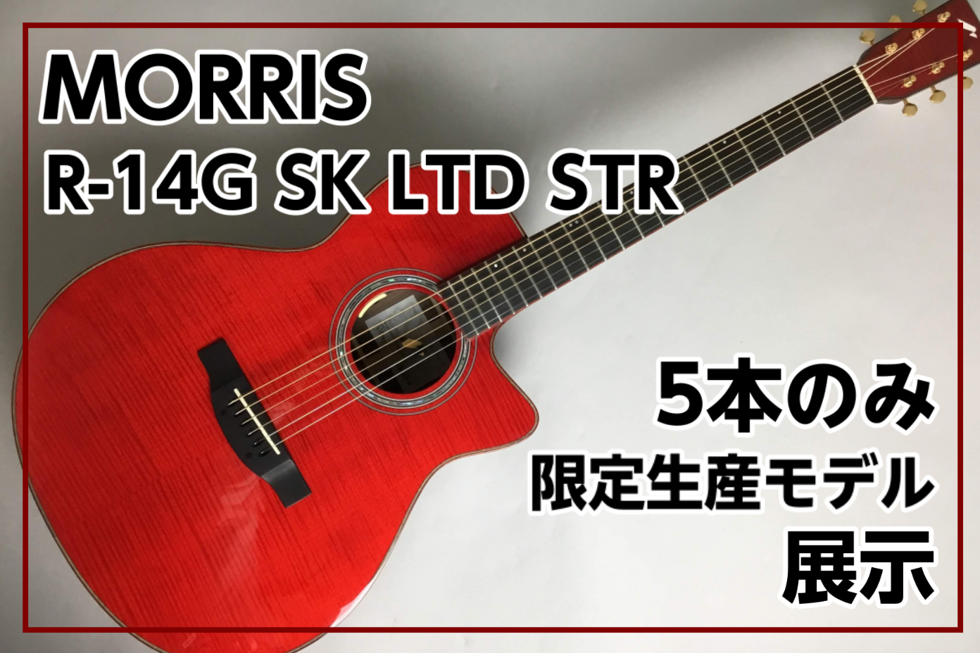 九州5本限定 エレアコ】Morris（モーリス） R-14G SK LTD STR 入荷
